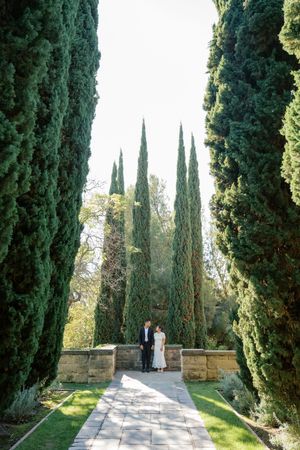 Majestic cypress trees create a natural corridor along a stone path in a formal garden setting.