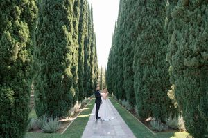 A scenic cypress tree-lined pathway in a garden with people walking in the distance on a sunny day.