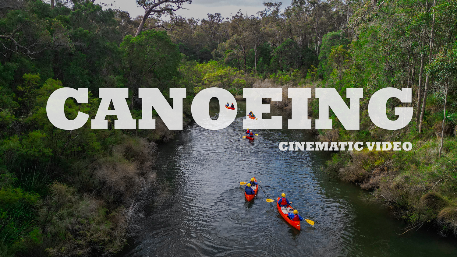 Aerial view of kayakers paddling through winding river surrounded by dense forest.