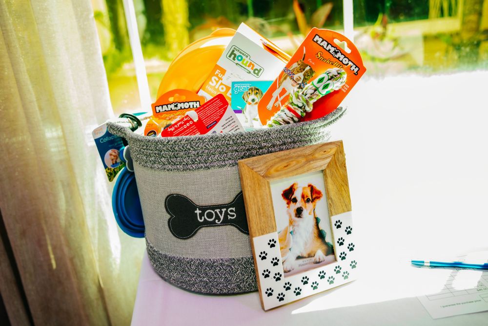 Pet-themed gift basket with dog treats and photo frame.