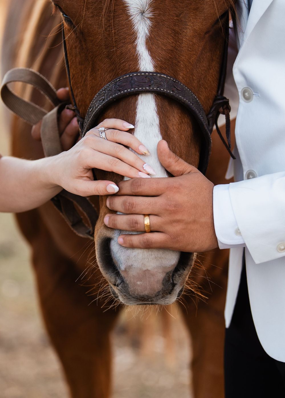 Couple's hands with engagement ring and wedding band resting on a chestnut horse's nose.