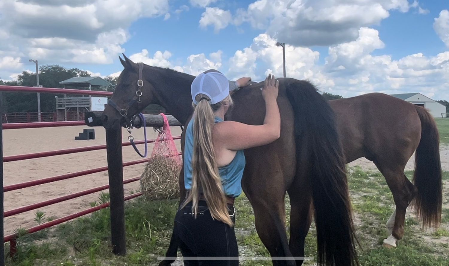 Kate massaging horse 2024