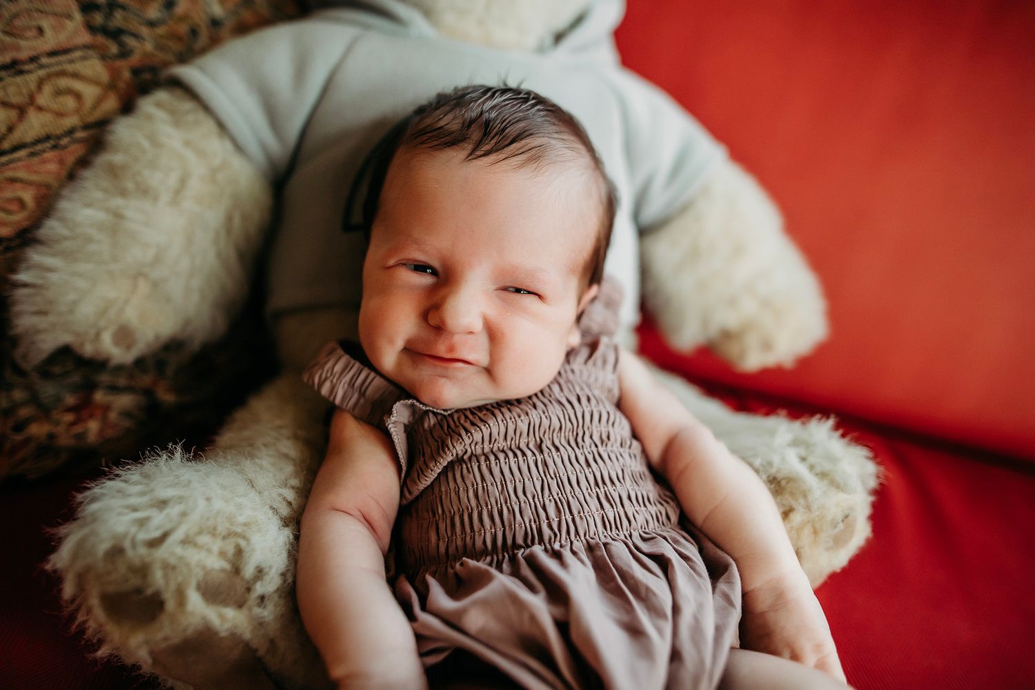 Fenton Michigan Newborn Photographer
