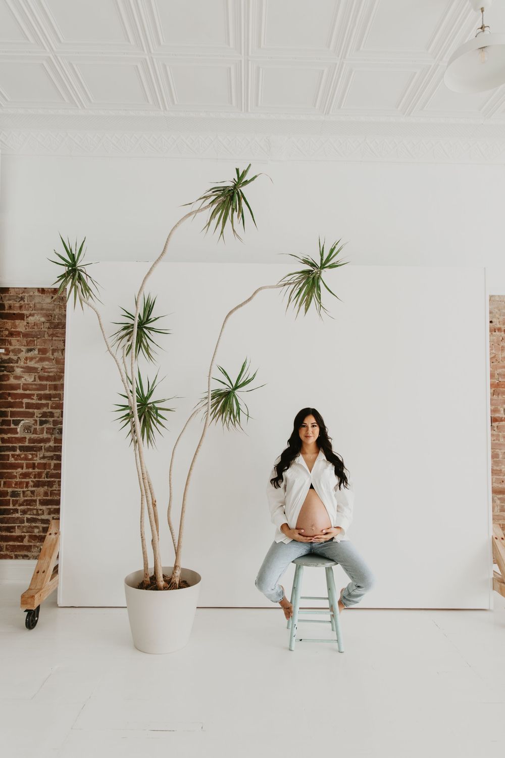 Modern maternity photo with tall indoor plant against white wall and exposed brick.