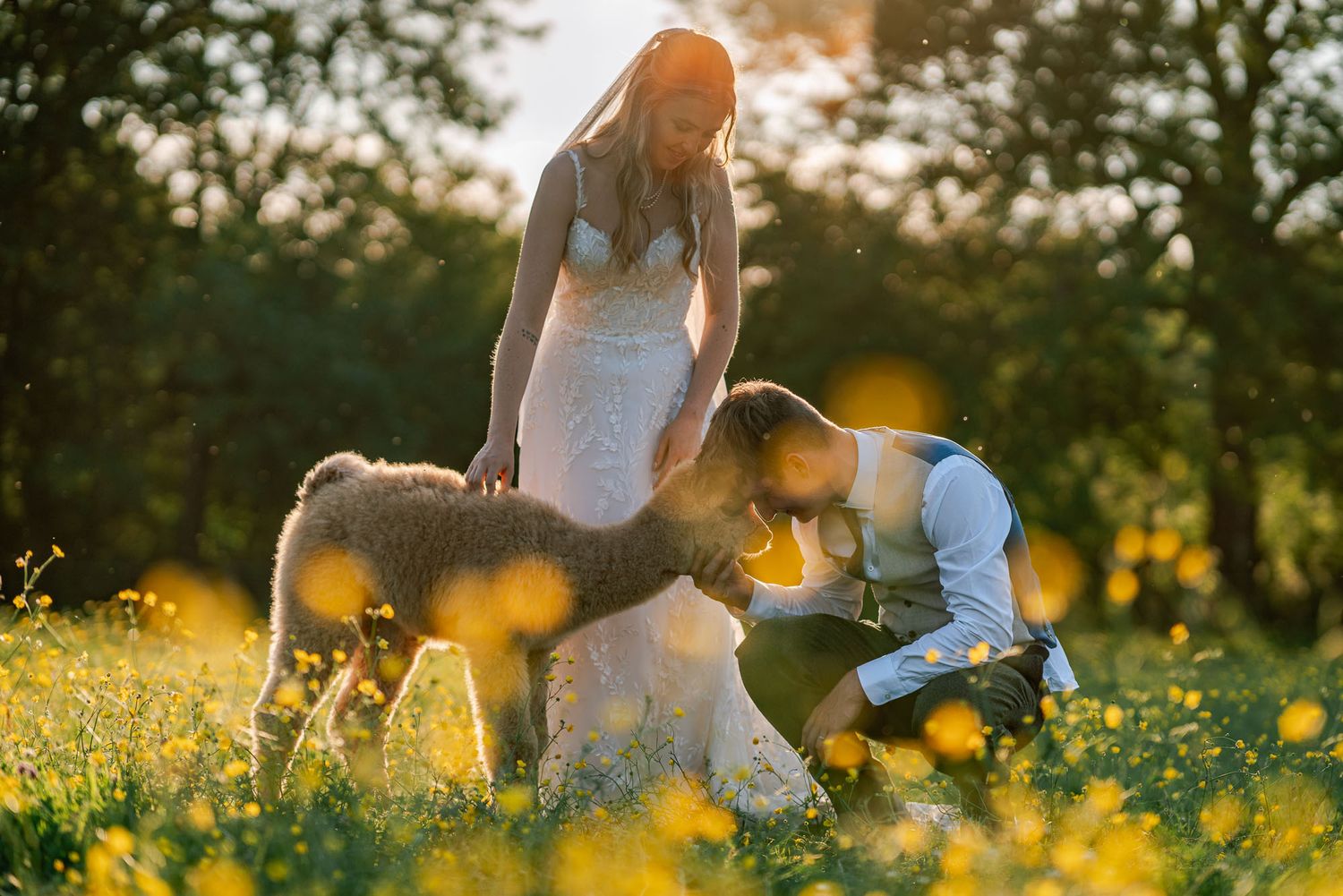 A romantic photoshoot in a meadow with golden sunlight filtering through trees.