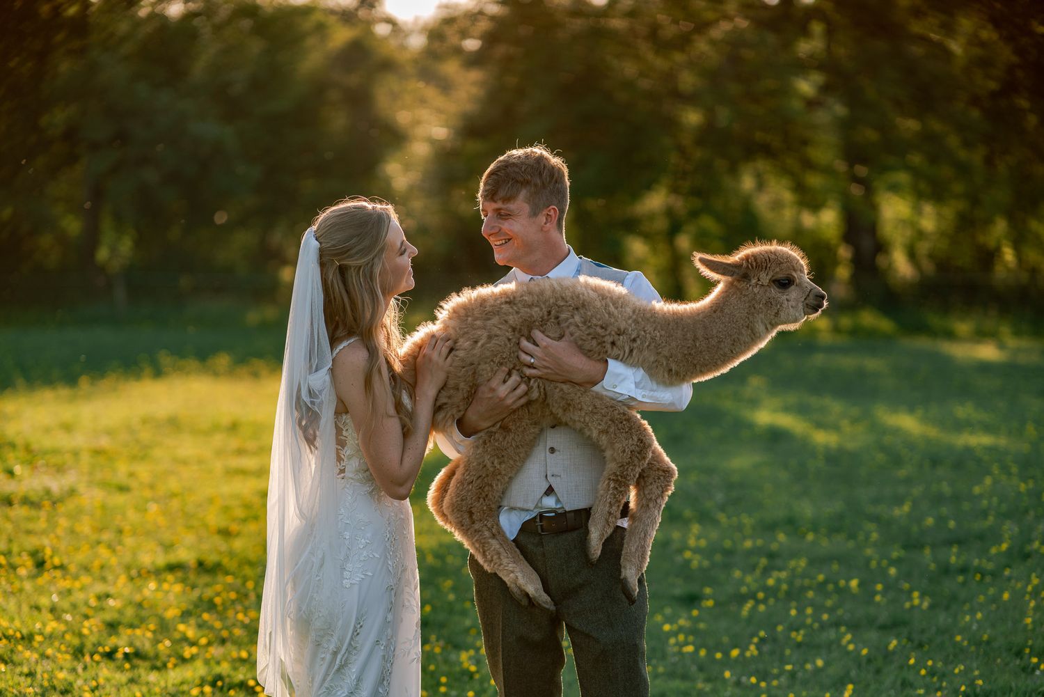 A couple dances playfully in a field of yellow wildflowers at sunset.