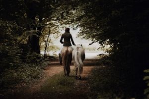 Person riding a horse leading two white horses down a forest trail surrounded by lush green trees.