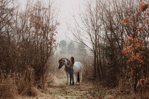 Person standing with a white horse on a misty forest path surrounded by bare autumn trees.
