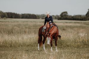 Chestnut Paint Horse med western seletøj og rytter med cowboyhat på mark