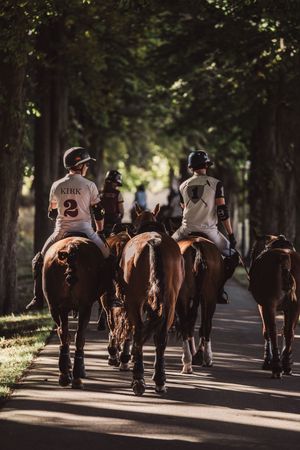 Two polo players in helmets ride brown horses down a tree-lined path in dappled sunlight.