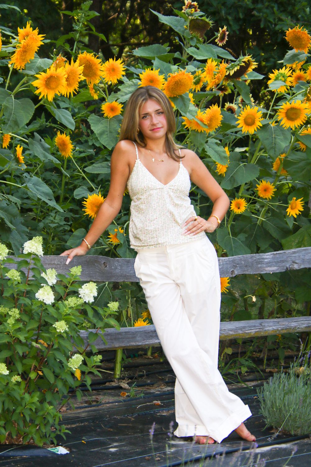 Bright sunflower garden with rustic wooden fence and white summer fashion.