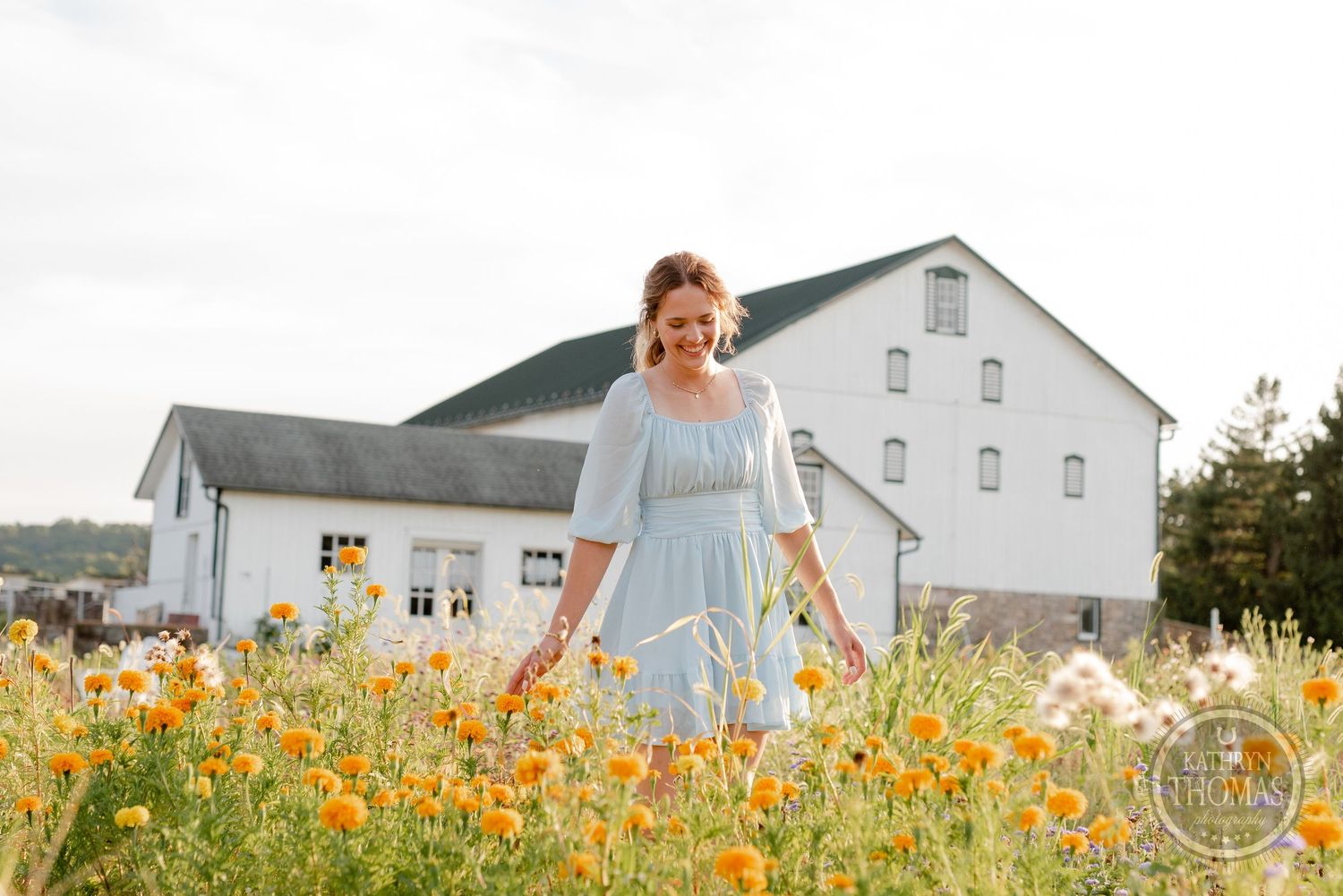 A blue dress sways among orange wildflowers with a classic white barn creating a pastoral backdrop.