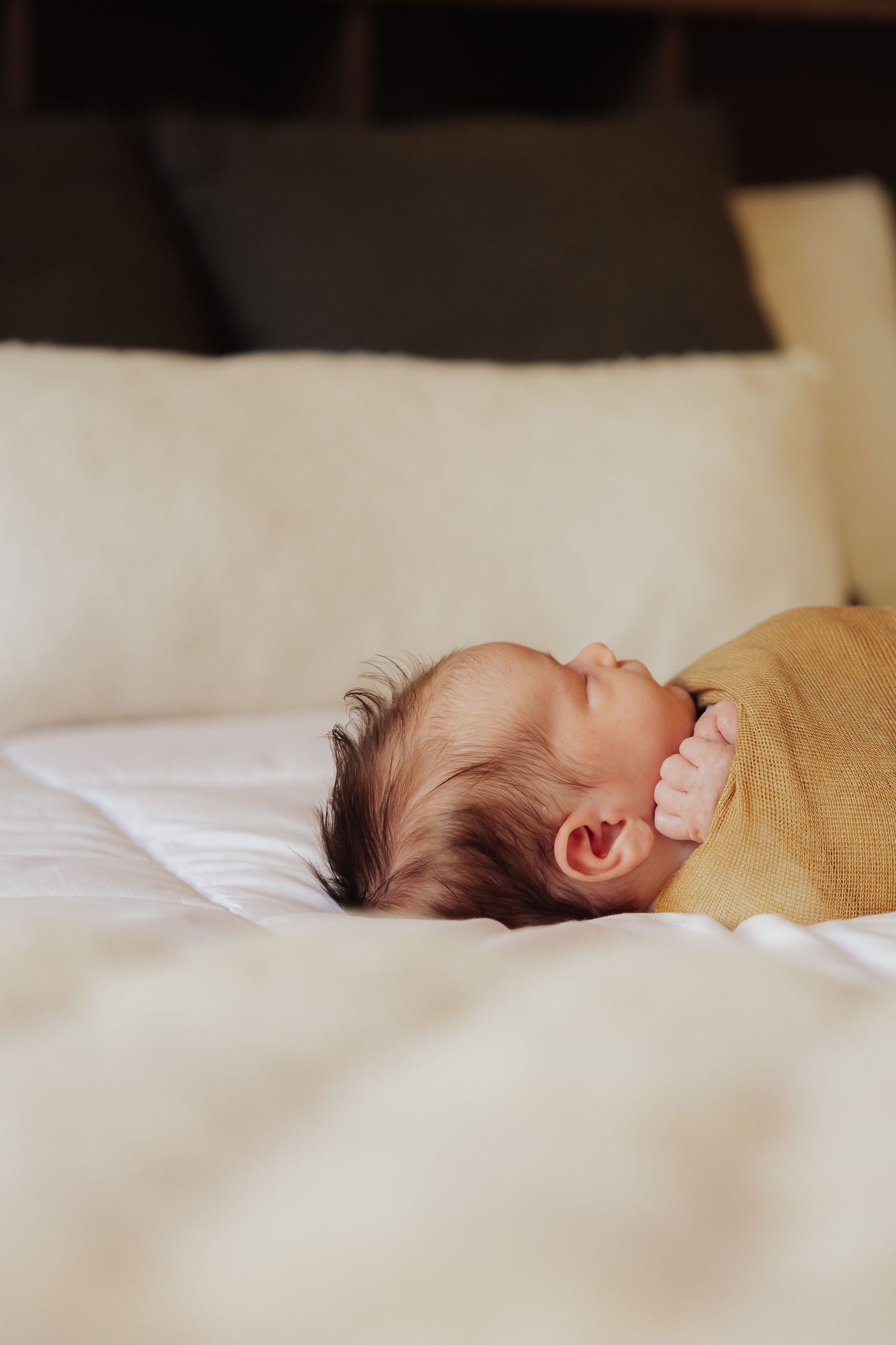 Newborn photos Washington