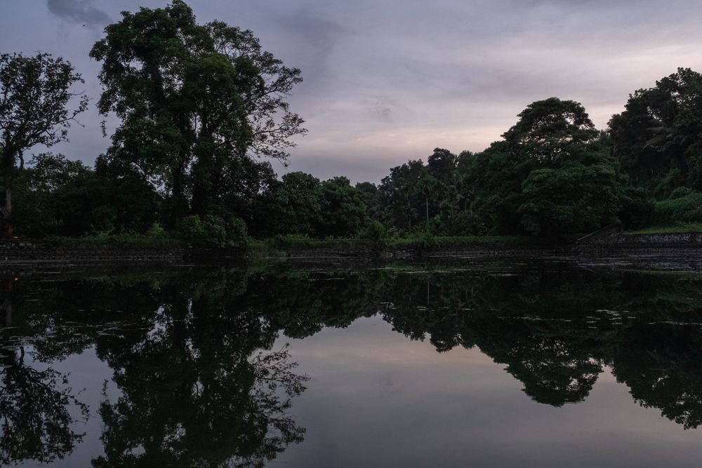 Serene lake landscape at dusk with trees silhouetted against purple sky and perfect reflection.