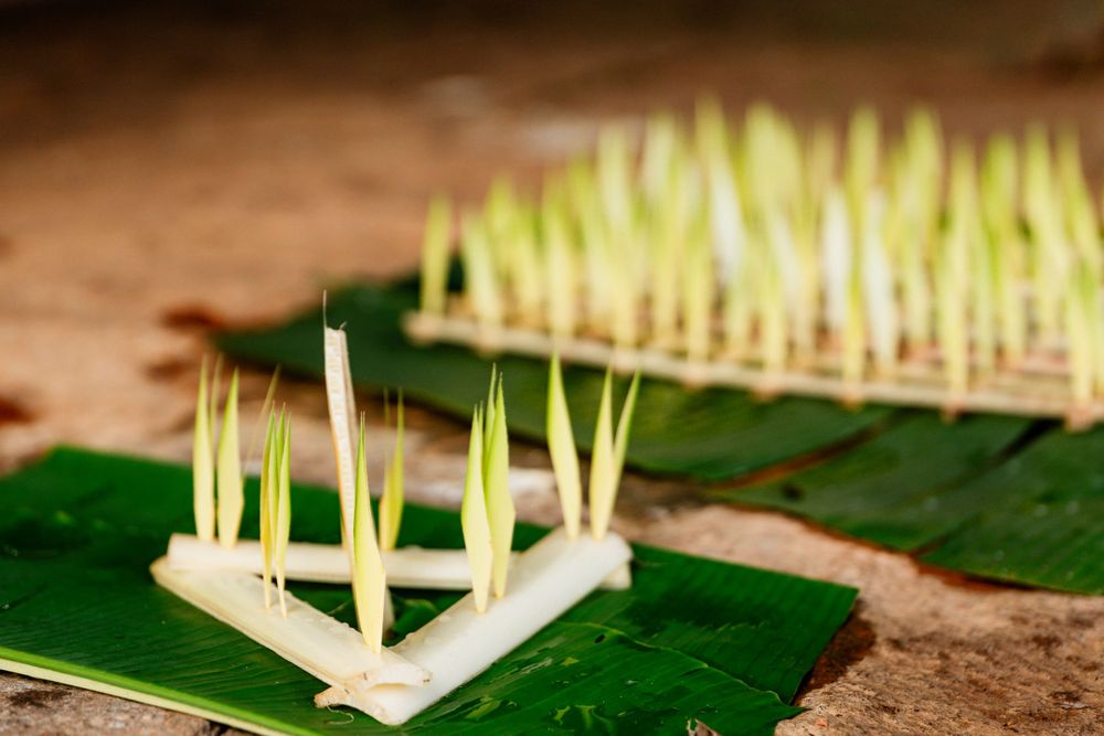 Traditional wedding decorations with sprouted grains on banana leaves.