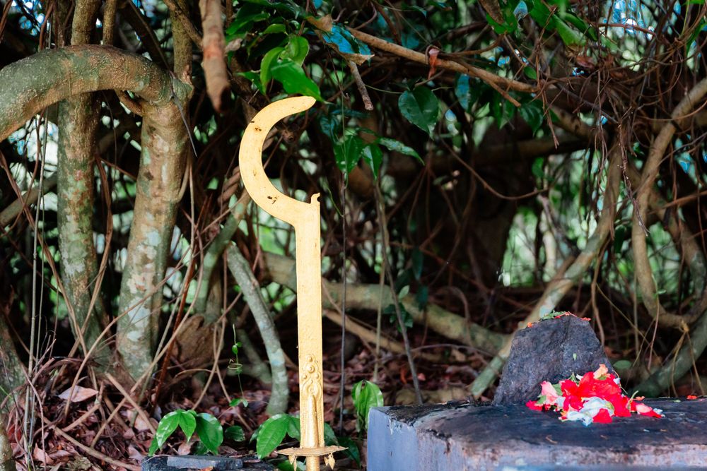 Decorative wooden hook and red flowers amid natural foliage setting.
