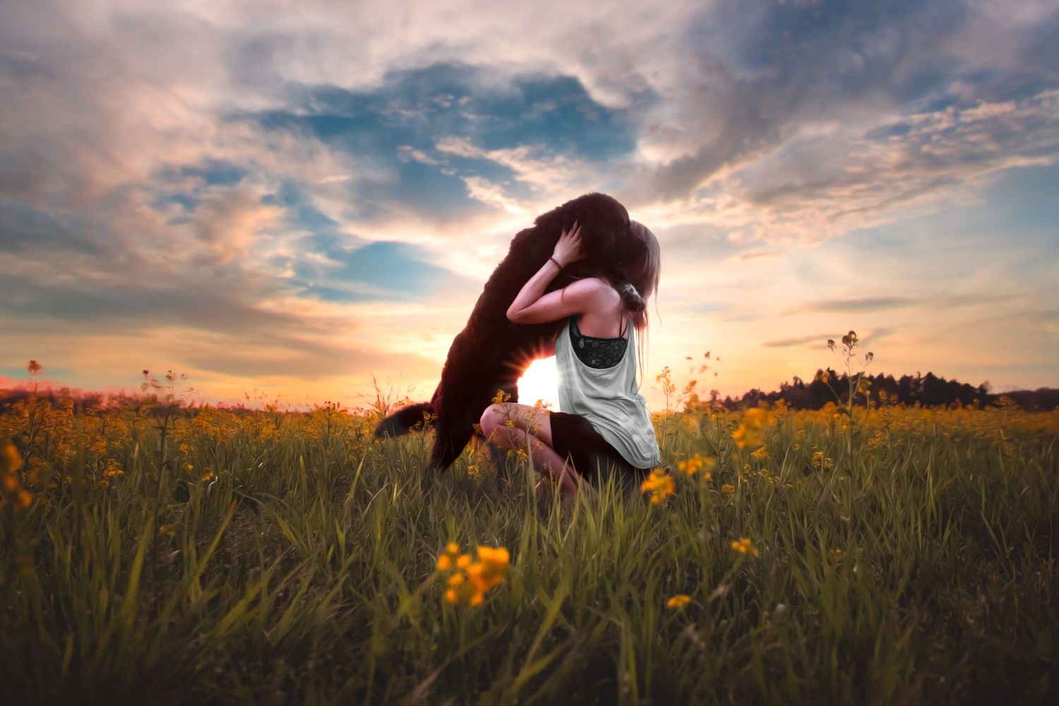 A dog and companion share a joyful moment in a field of wildflowers during golden hour.