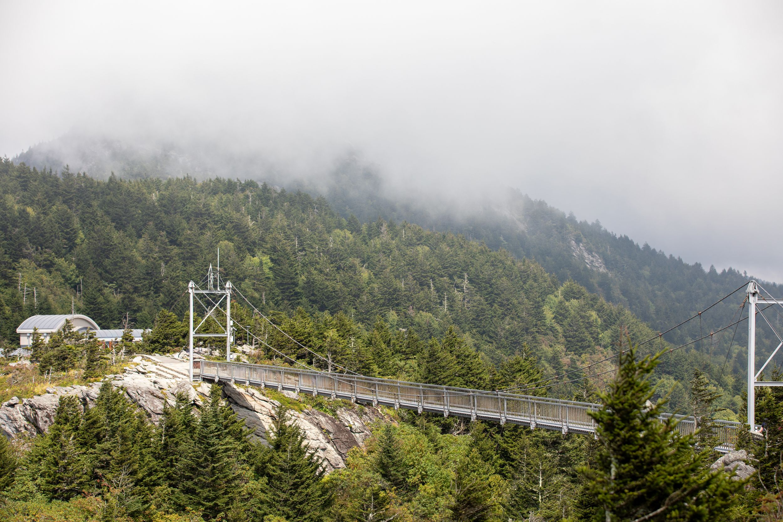 A suspension bridge stretches across a misty mountain landscape surrounded by dense evergreen forests under cloudy skies.