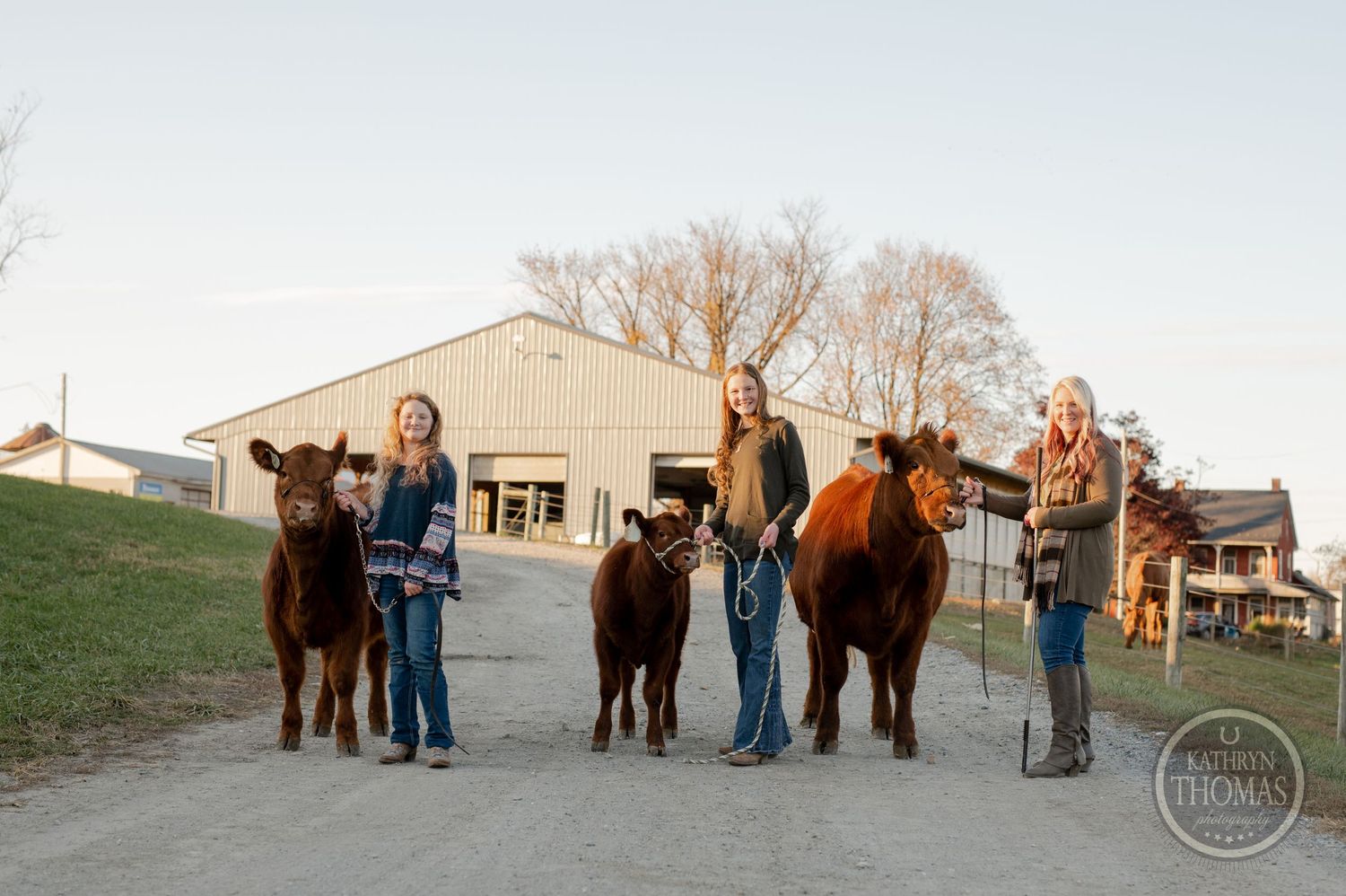 Three cattle and three people stand together on a dirt path in front of a beige barn structure.