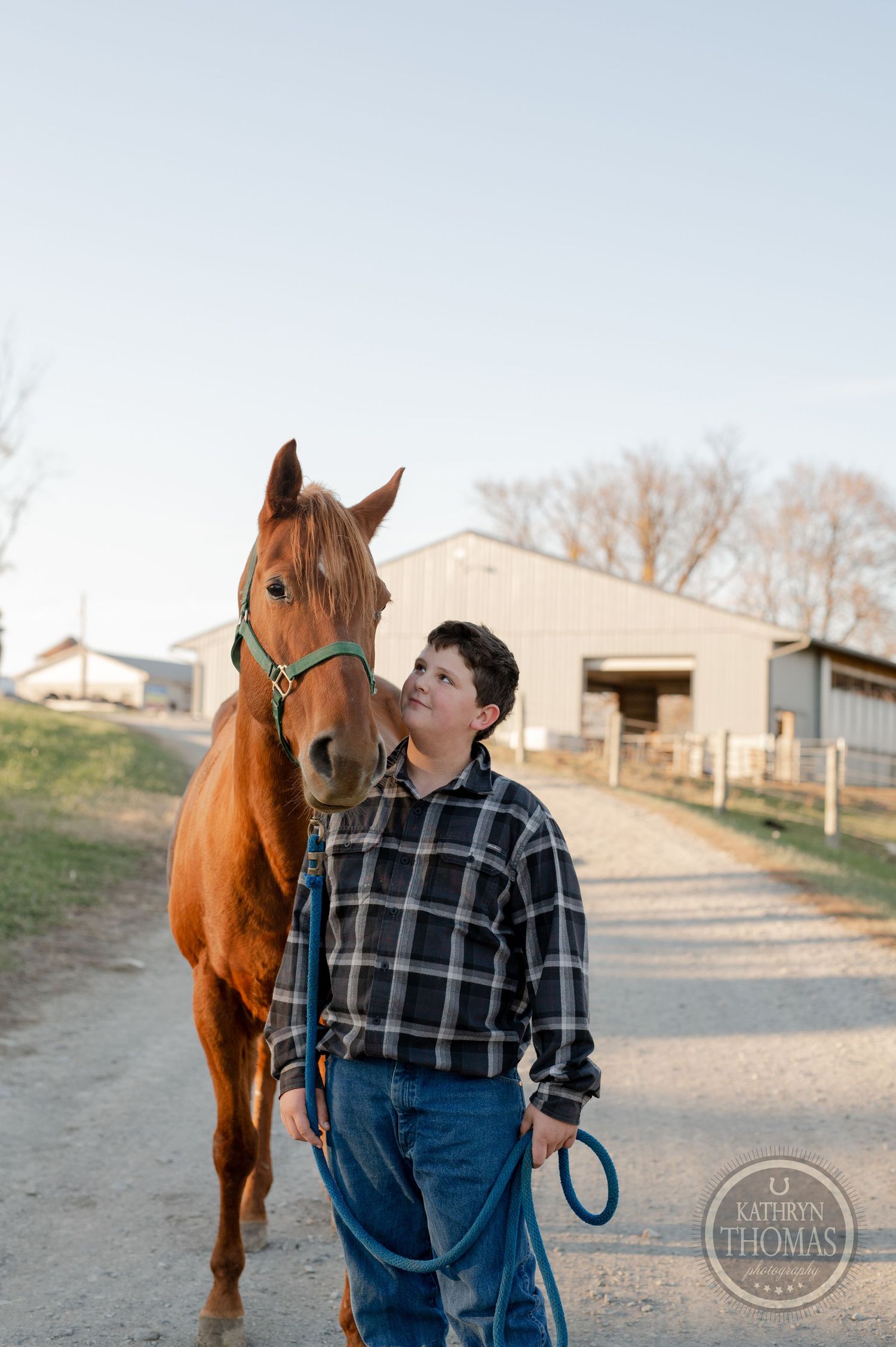 A person in a plaid shirt leads a beautiful chestnut horse along a barn driveway.