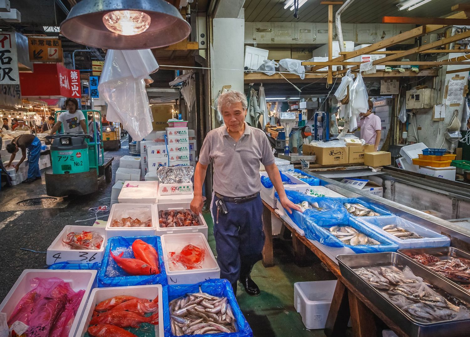 Tsukiji Outer Market, Tokyo, Japan, fish market