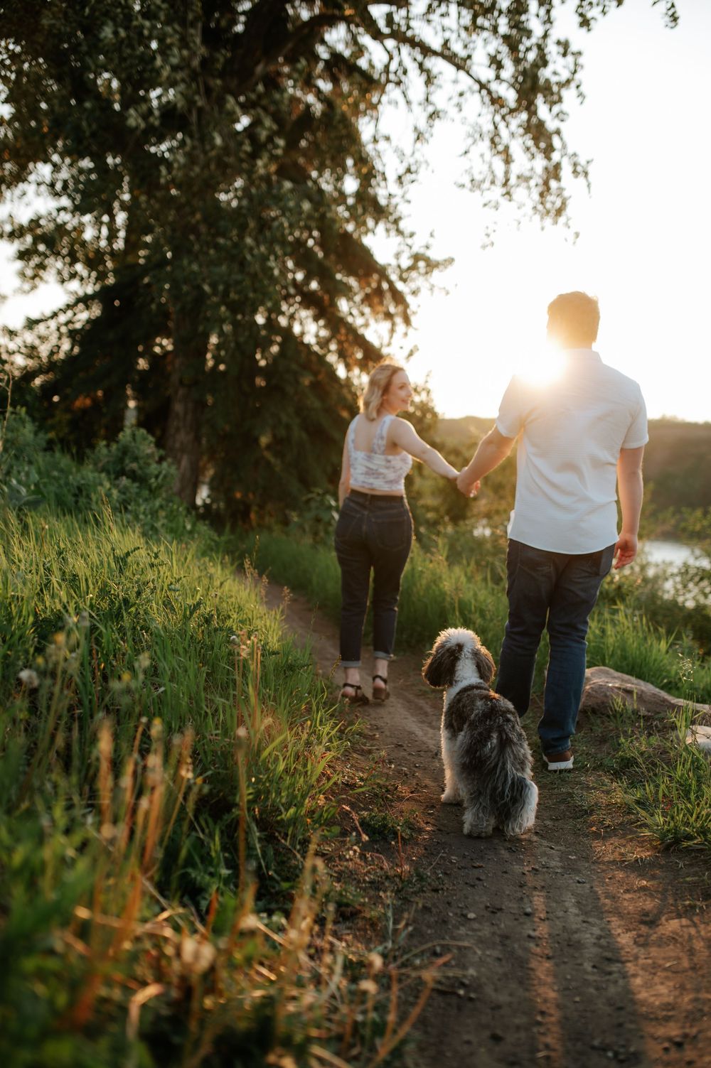 A couple walks their dog along a scenic hiking trail at sunset while holding hands in nature.