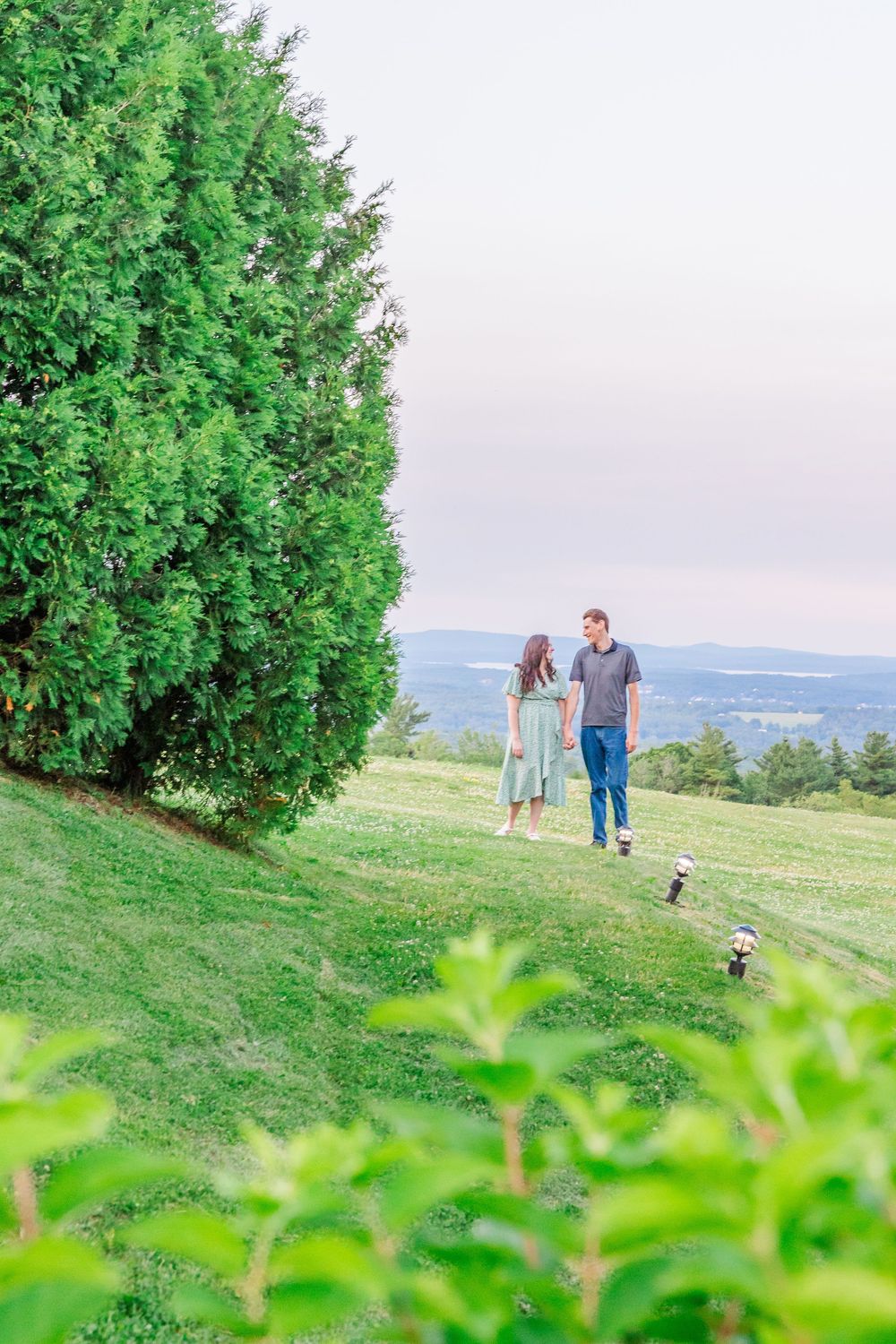 A couple walking with two dogs on a scenic hillside with lush greenery and mountains in the background.