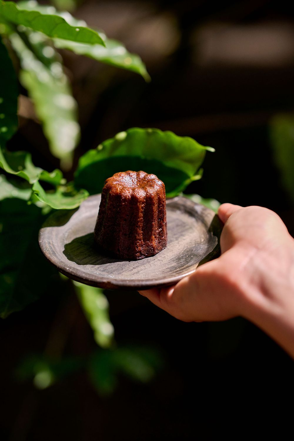A hand holds a small chocolate bundt cake on a rustic plate against a dark background with green leaves.