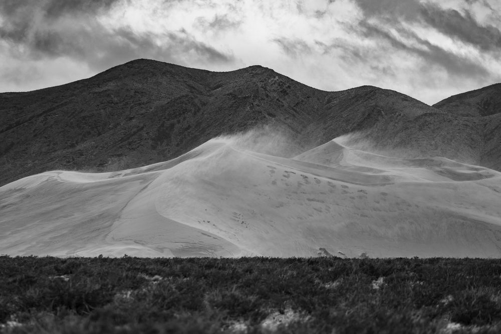 Black and white panoramic view of large desert sand dunes with mountain range and sparse shrubs.