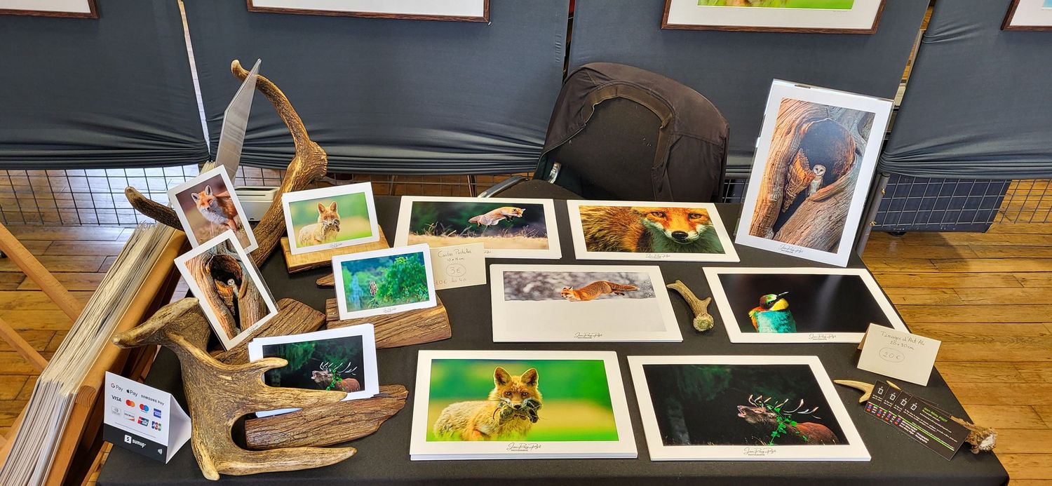 Collection of printed photographs and art prints laid out on a wooden floor with photo editing equipment nearby.