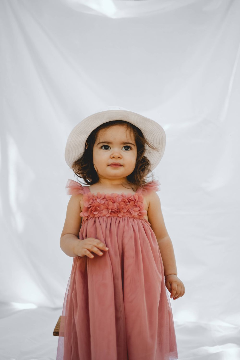 Fotografia de família