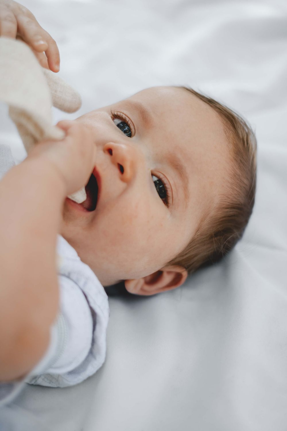 Fotografia de família