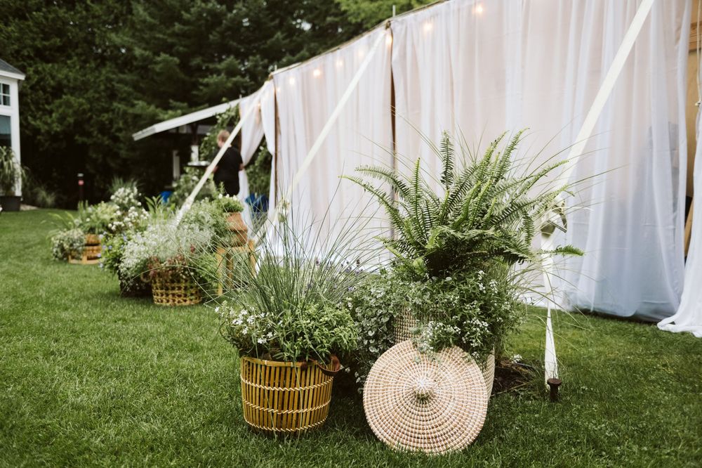 Outdoor wedding decor with lush ferns in wicker baskets on green lawn beside white draped tent backdrop.