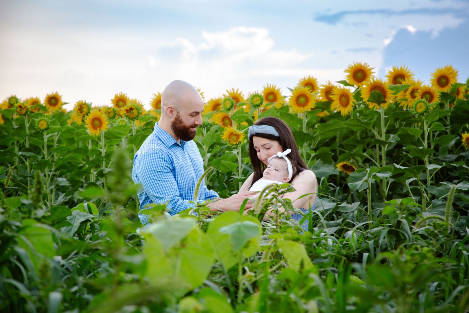A couple sits together in a blooming sunflower field during golden hour.