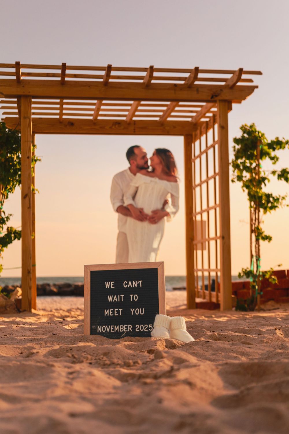pregnancy announcement secret garden st pete beach
