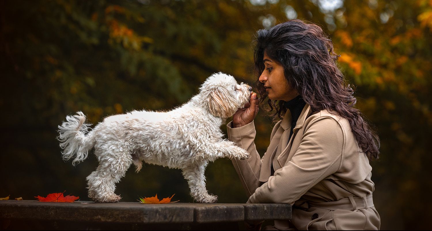 Lady with maltipoo in Bramhall park with autumn backdrop - photoshoot