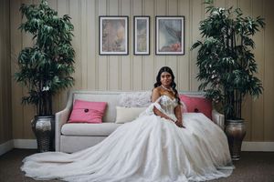 Bride in a stunning ball gown wedding dress seated on a beige sofa with pink pillows, flanked by tall green plants.