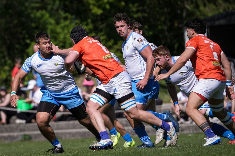 Rugby players in orange and blue jerseys compete in an intense match on a grass field during a sunny day.
