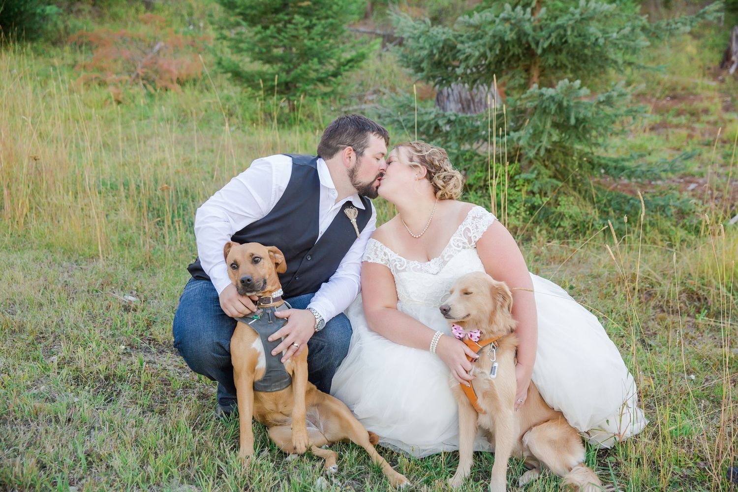Bride and groom kissing outdoors with two golden dogs wearing bow ties on their wedding day.