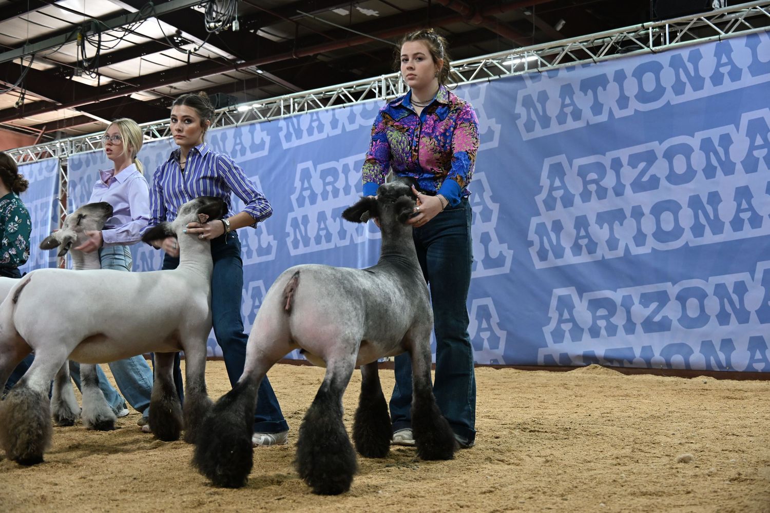 Arizona National Livestock Show 2025