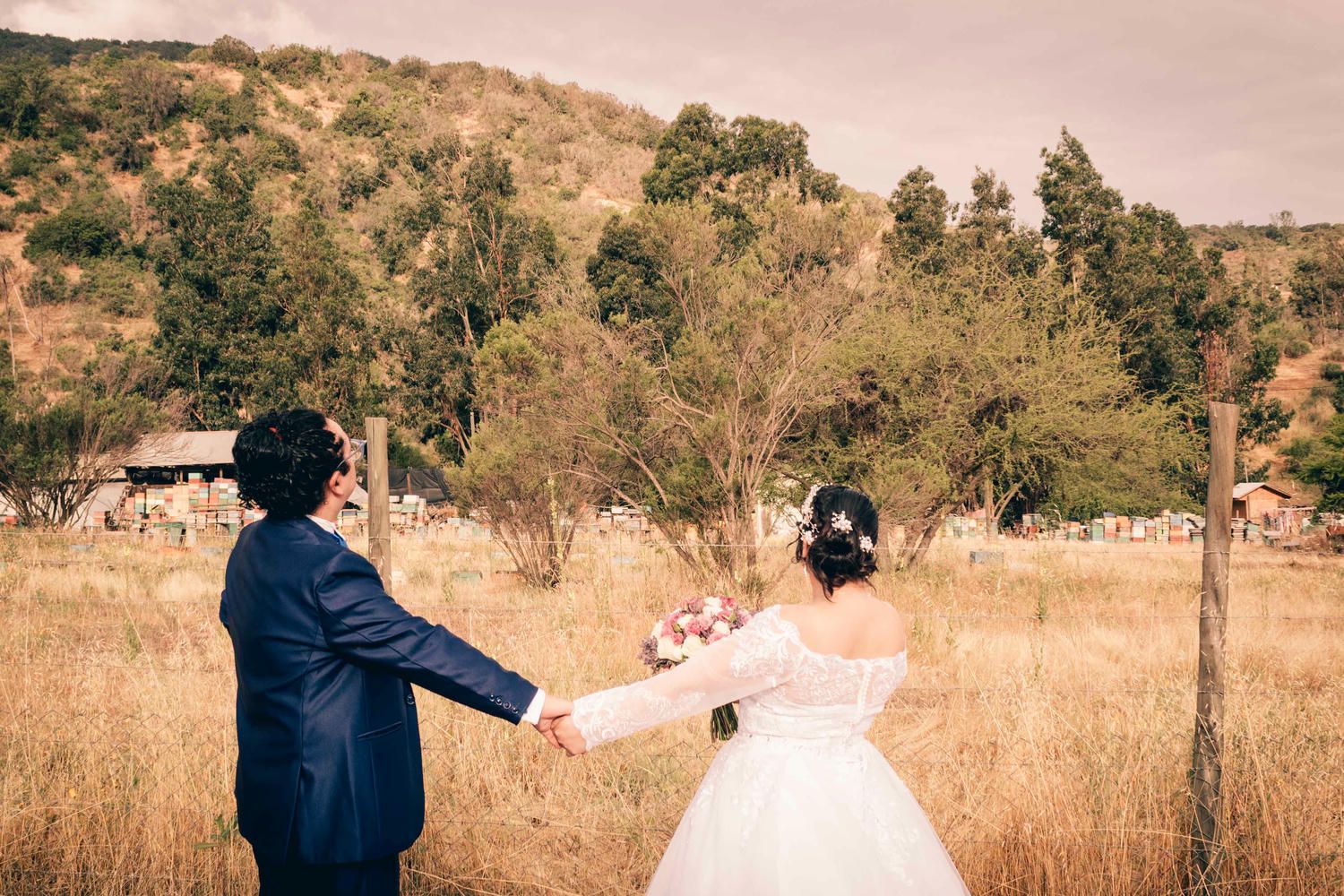Sesión de fotos de matrimonio en colinas doradas con montañas al fondo.