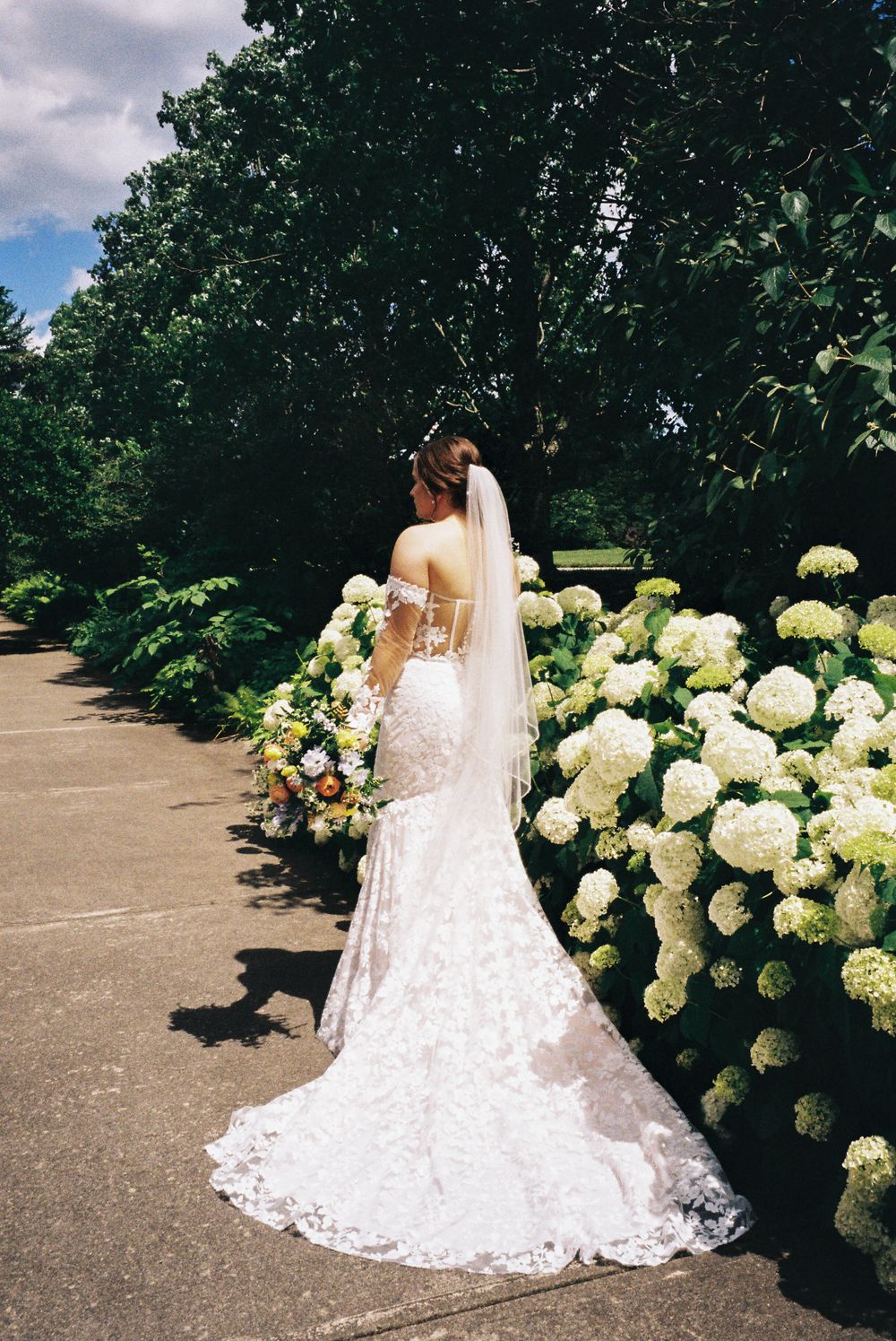 A lace wedding dress with long train photographed next to blooming white hydrangeas in a garden setting.