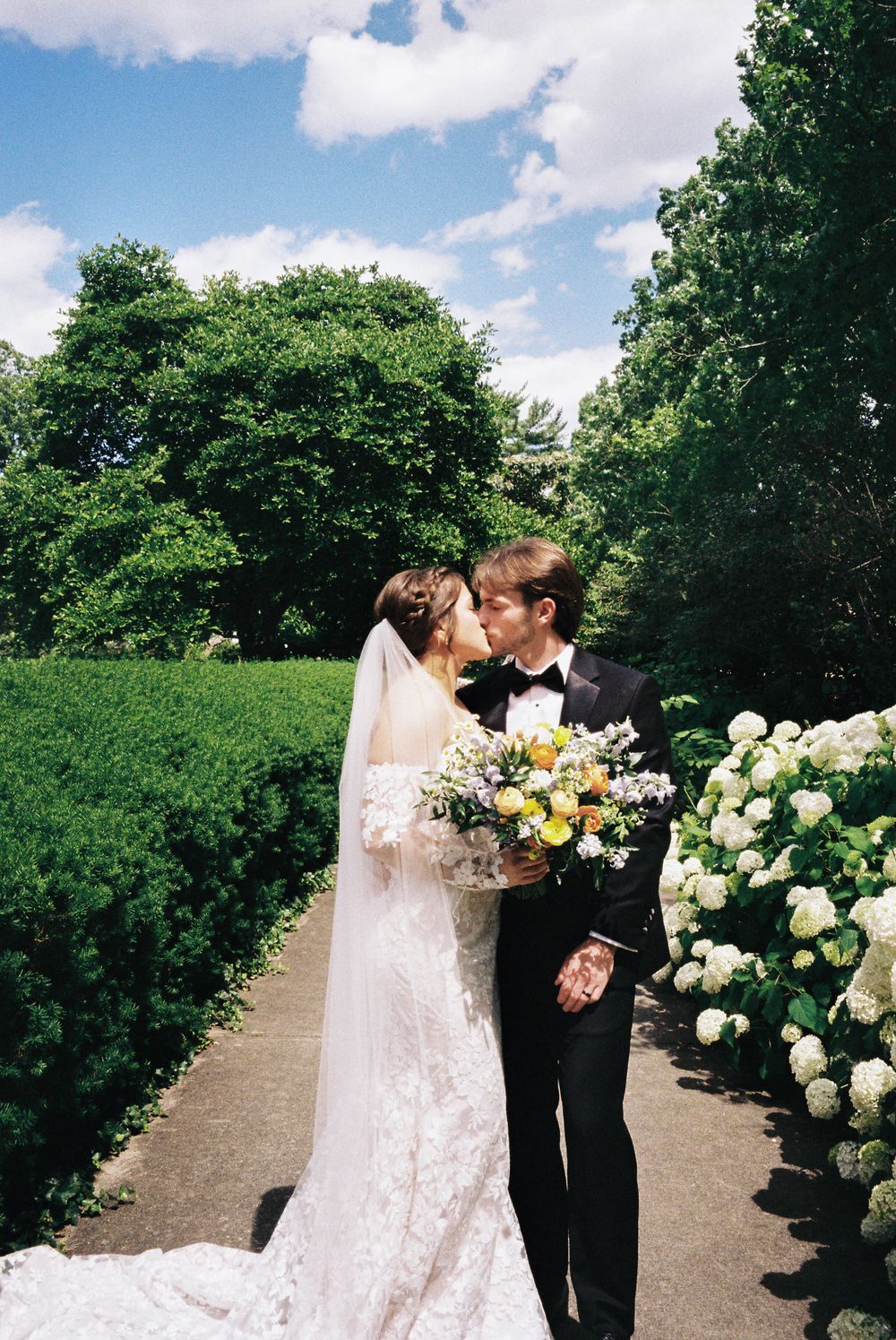 A romantic wedding portrait in a garden path lined with white hydrangeas under blue sky.
