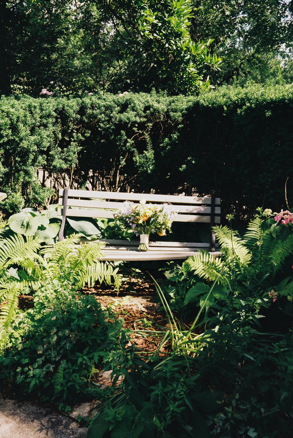 A rustic garden bench surrounded by lush ferns and greenery in dappled sunlight.