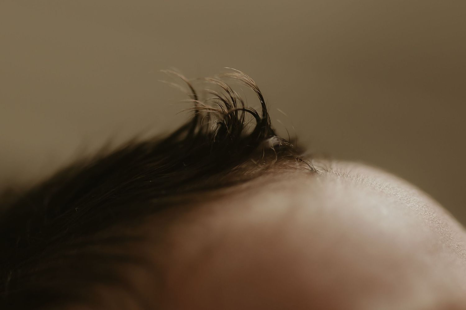 Soft focus close-up shot in muted brown tones.