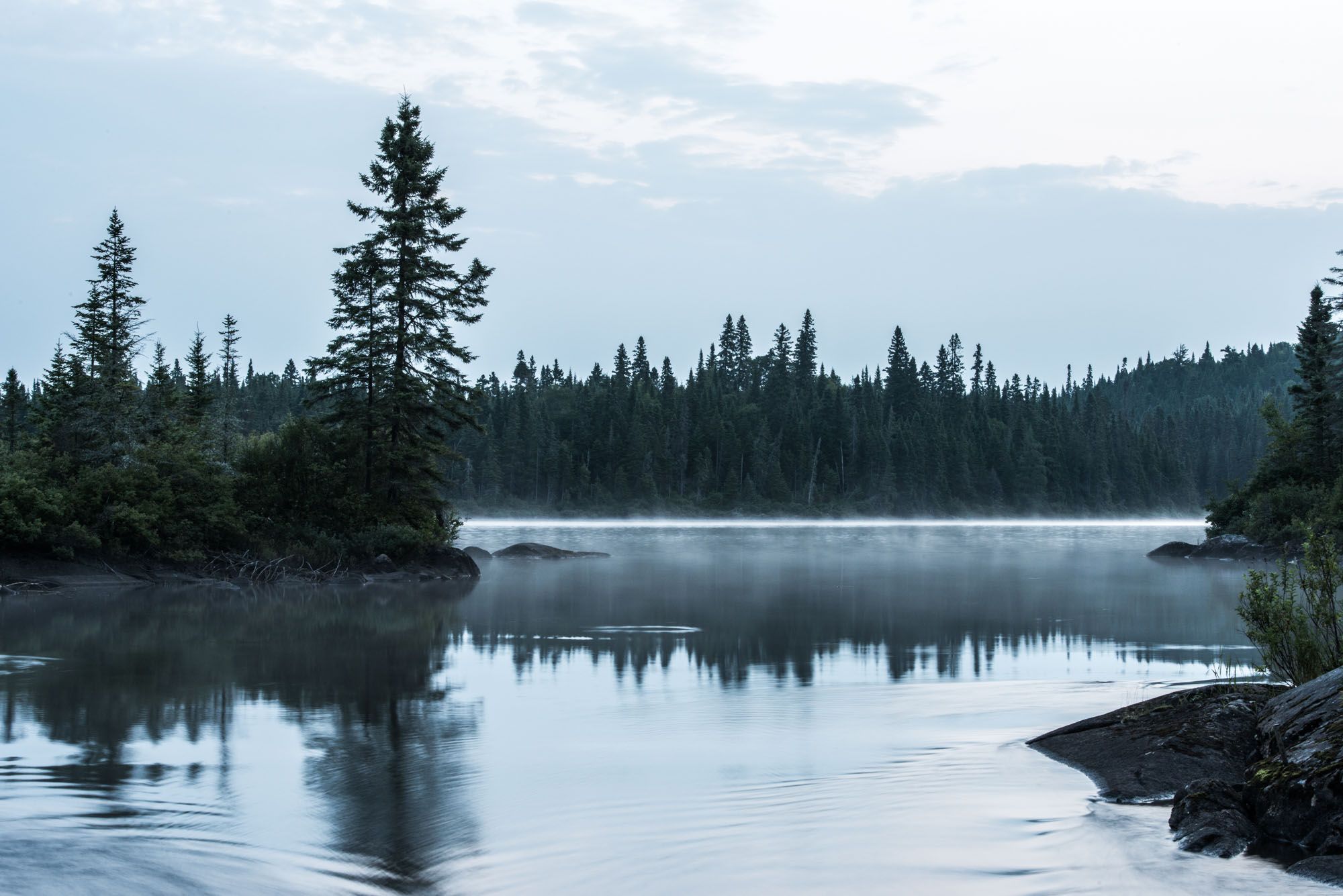 Panoramic view of a serene lake surrounded by evergreen forest with misty mountains in the background.
