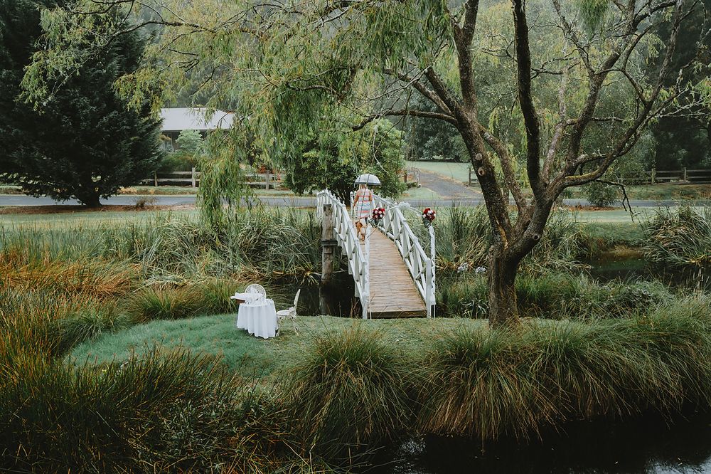 Scenic garden path with wooden bridge over water surrounded by lush greenery and trees in a tranquil setting.