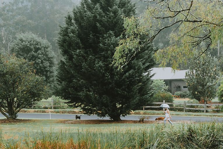 A scenic path winds through a green park with trees and mountains in the misty background.