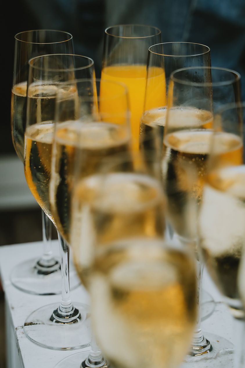 Multiple champagne glasses filled with sparkling wine are arranged in a row with warm ambient lighting.