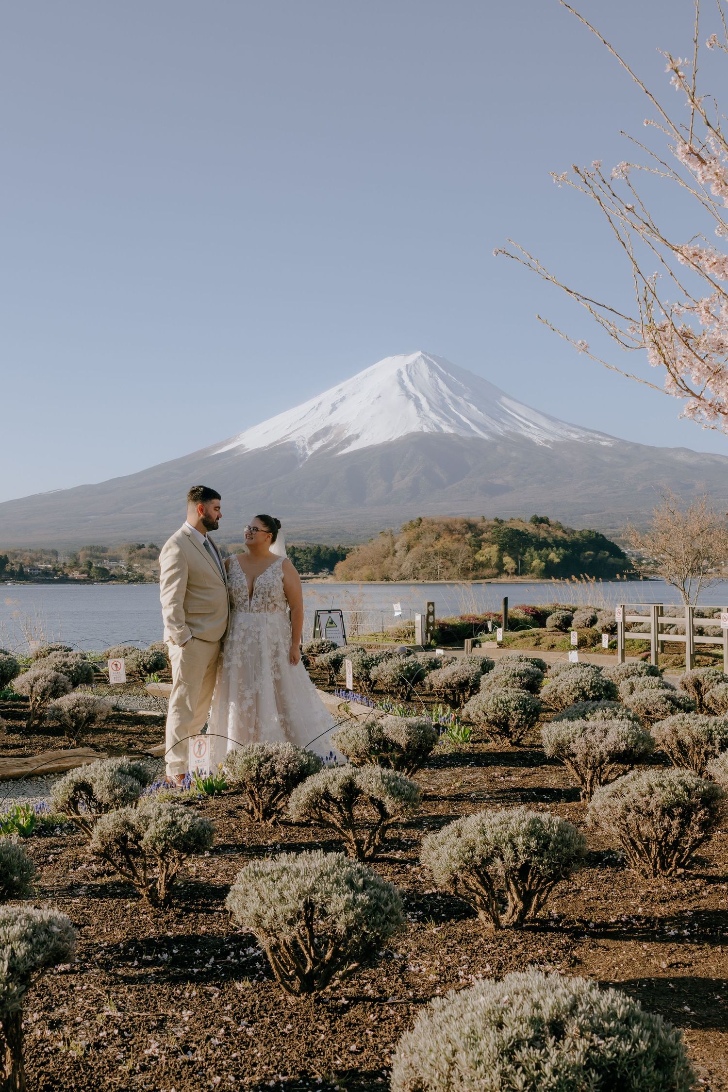 A couple in wedding attire stands in front of majestic Mount Fuji on a clear day with cherry blossoms in view.